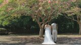 オープニングムービー外注結婚式ムービー作成WISH【お客様の口コミ】